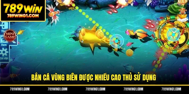 Bắn cá vùng biên được nhiều cao thủ sử dụng