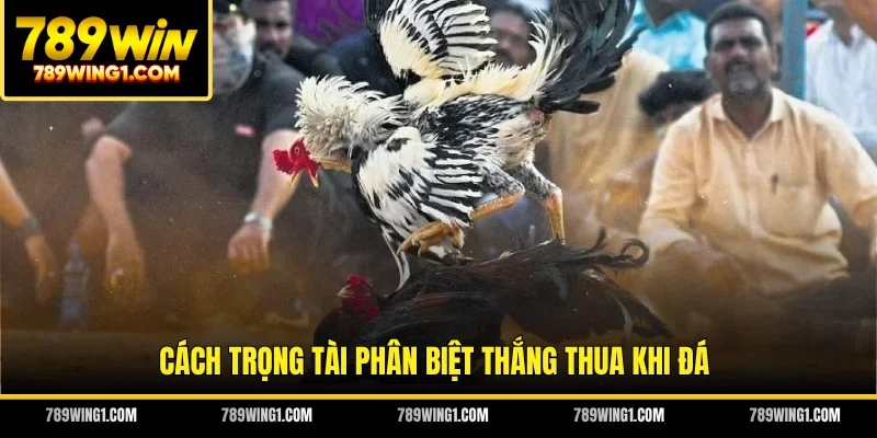Cách trọng tài phân biệt thắng thua khi đá