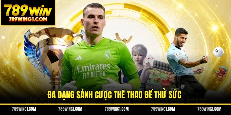 Đa dạng sảnh cược thể thao để thử sức