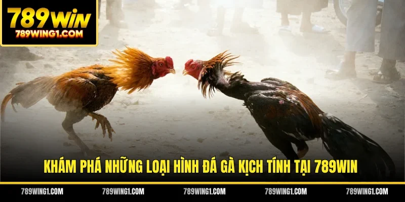 Khám phá những loại hình đá gà kịch tính tại 789WIN