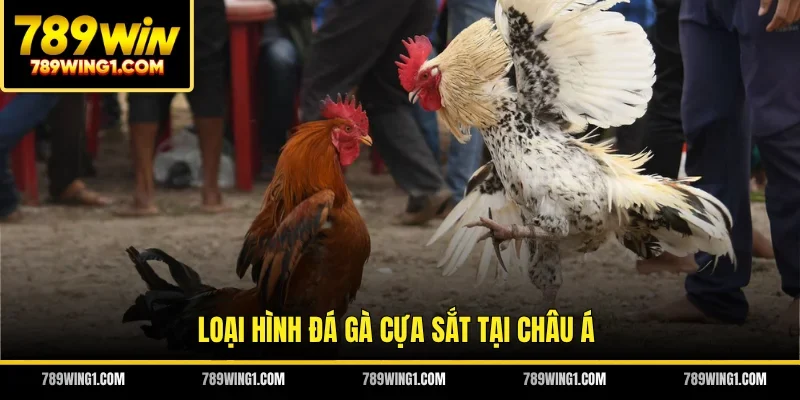 Loại hình đá gà cựa sắt tại châu Á