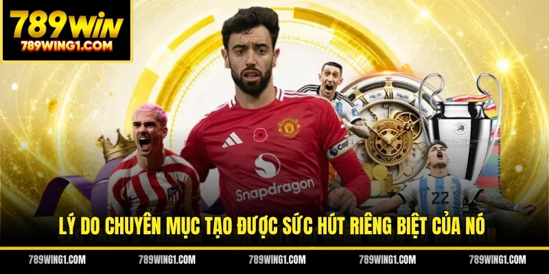 Lý do chuyên mục tạo được sức hút riêng biệt của nó