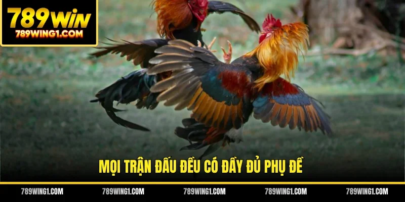 Mọi trận đấu đều có đầy đủ phụ đề